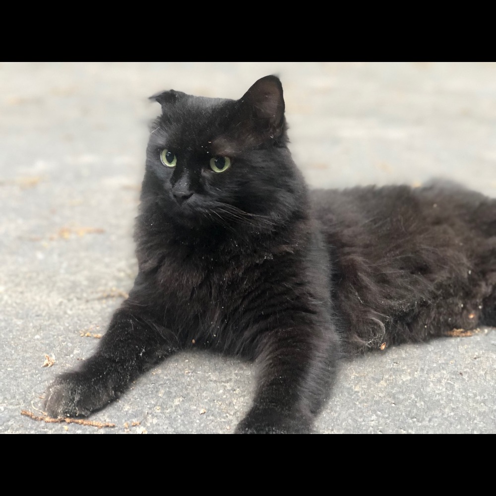 Meet your Posher, Elle